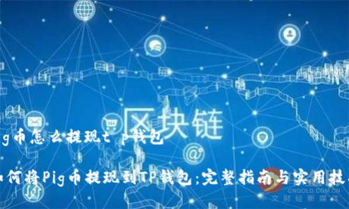pig币怎么提现t p钱包

如何将Pig币提现到TP钱包：完整指南与实用技巧