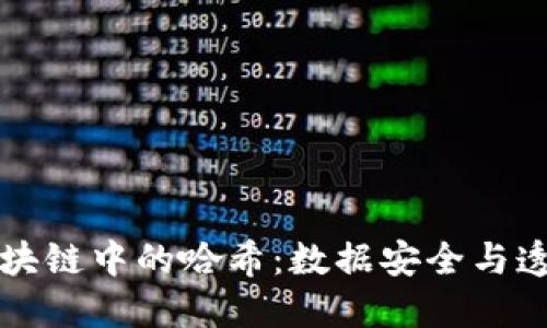 深入探讨区块链中的哈希：数据安全与透明性的核心