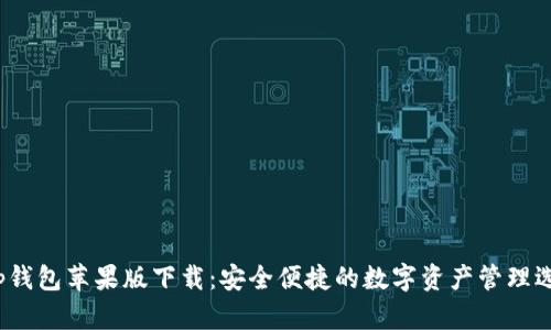 t p钱包苹果版下载：安全便捷的数字资产管理选择