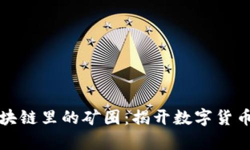 深入解析区块链里的矿圈：揭开数字货币的神秘面纱