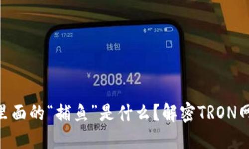区块链TRX里面的“捕鱼”是什么？解密TRON网络的新玩法