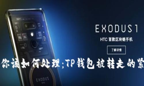 事情发生后你该如何处理：TP钱包被转走的紧急应对指南