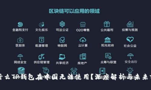 为什么TP钱包在中国无法使用？深度解析与未来前景