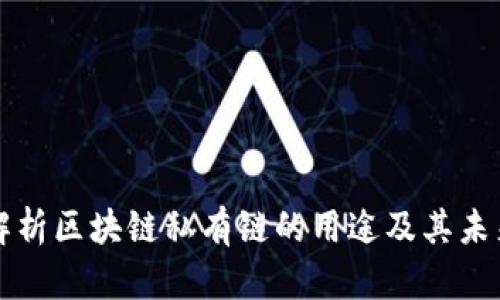 深入解析区块链私有链的用途及其未来前景