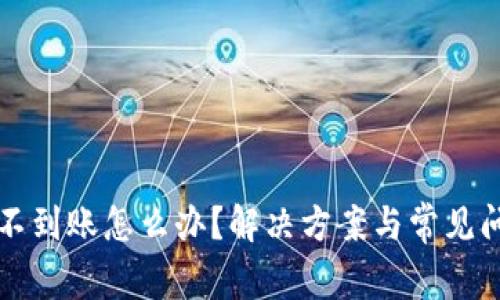 TP钱包不到账怎么办？解决方案与常见问题解析