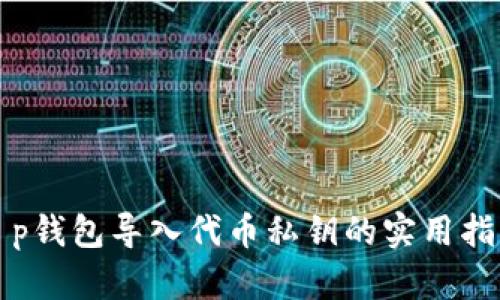 t p钱包导入代币私钥的实用指南