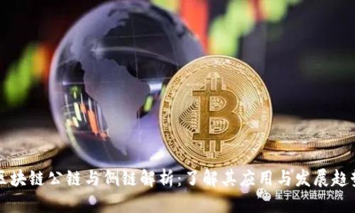 区块链公链与侧链解析：了解其应用与发展趋势