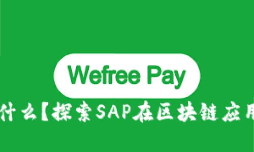 区块链是什么？探索SAP在区块链应用中的潜力