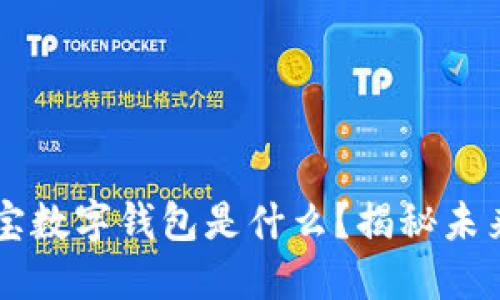 区块链支付宝数字钱包是什么？揭秘未来支付新模式