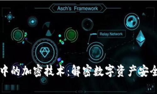 区块链中的加密技术：解密数字资产安全的选择