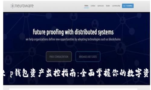 : t p钱包资产监控指南：全面掌握你的数字资产