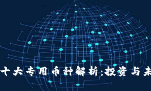 区块链十大专用币种解析:投资与未来前景