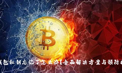 TP钱包私钥忘记了怎么办？全面解决方案与预防措施