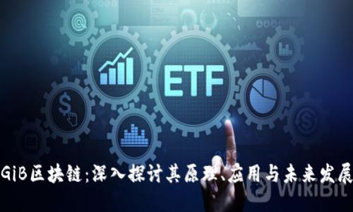 GiB区块链：深入探讨其原理、应用与未来发展
