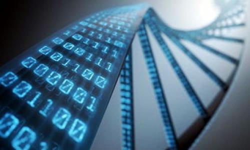 

TP钱包与星际幻兽：区块链数字资产的新时代