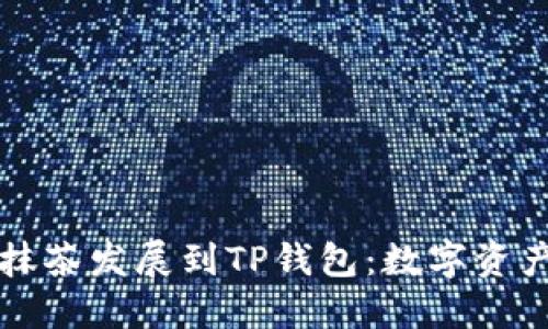 如何将抹茶发展到TP钱包:数字资产的未来