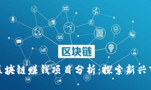 ### 
养宠物区块链赚钱项目分析：探索新兴市场机会