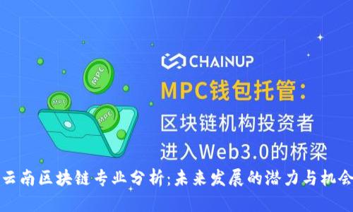 云南区块链专业分析：未来发展的潜力与机会