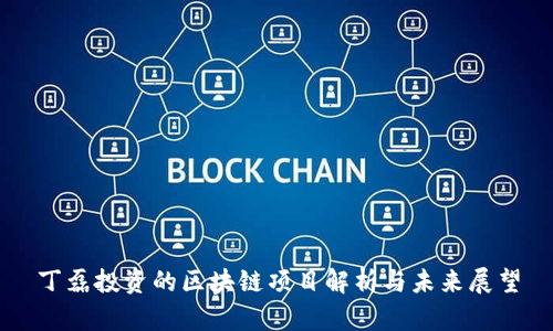 丁磊投资的区块链项目解析与未来展望