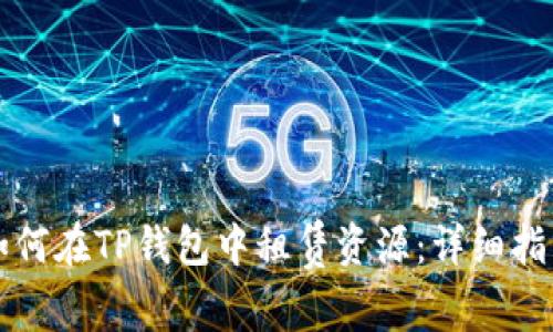 如何在TP钱包中租赁资源：详细指南