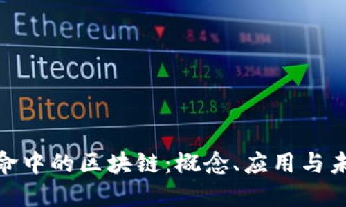 数字革命中的区块链：概念、应用与未来趋势