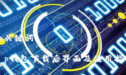 和关键词

t p钱包下载后界面及使用指南