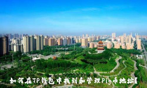   
如何在TP钱包中找到和管理Pig币地址？