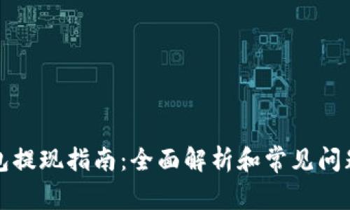TP钱包提现指南：全面解析和常见问题解答
